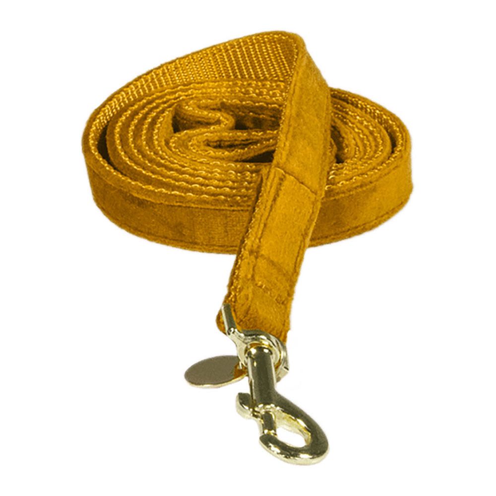 Kentucky VELVET - Laisse pour chien mustard