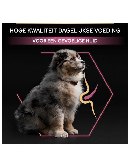 Pro Plan Dog Puppy Medium Breed Sensitive Zalm - Hondenvoer