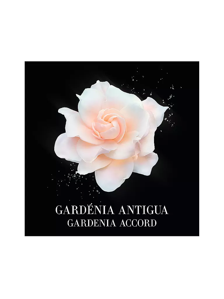 ARMANI/PRIVÉ Gardénia Antigua Eau de Toilette 100ml keine Farbe