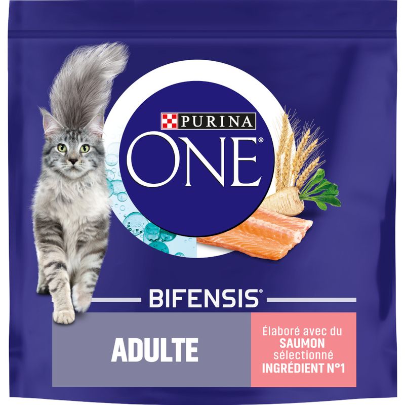 PURINA ONE Adulte saumon, céréales complètes à prix discount sur bitiba.fr
