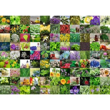 Ravensburger Puzzle 99 Kräuter und Gewürze, 1000 Teile