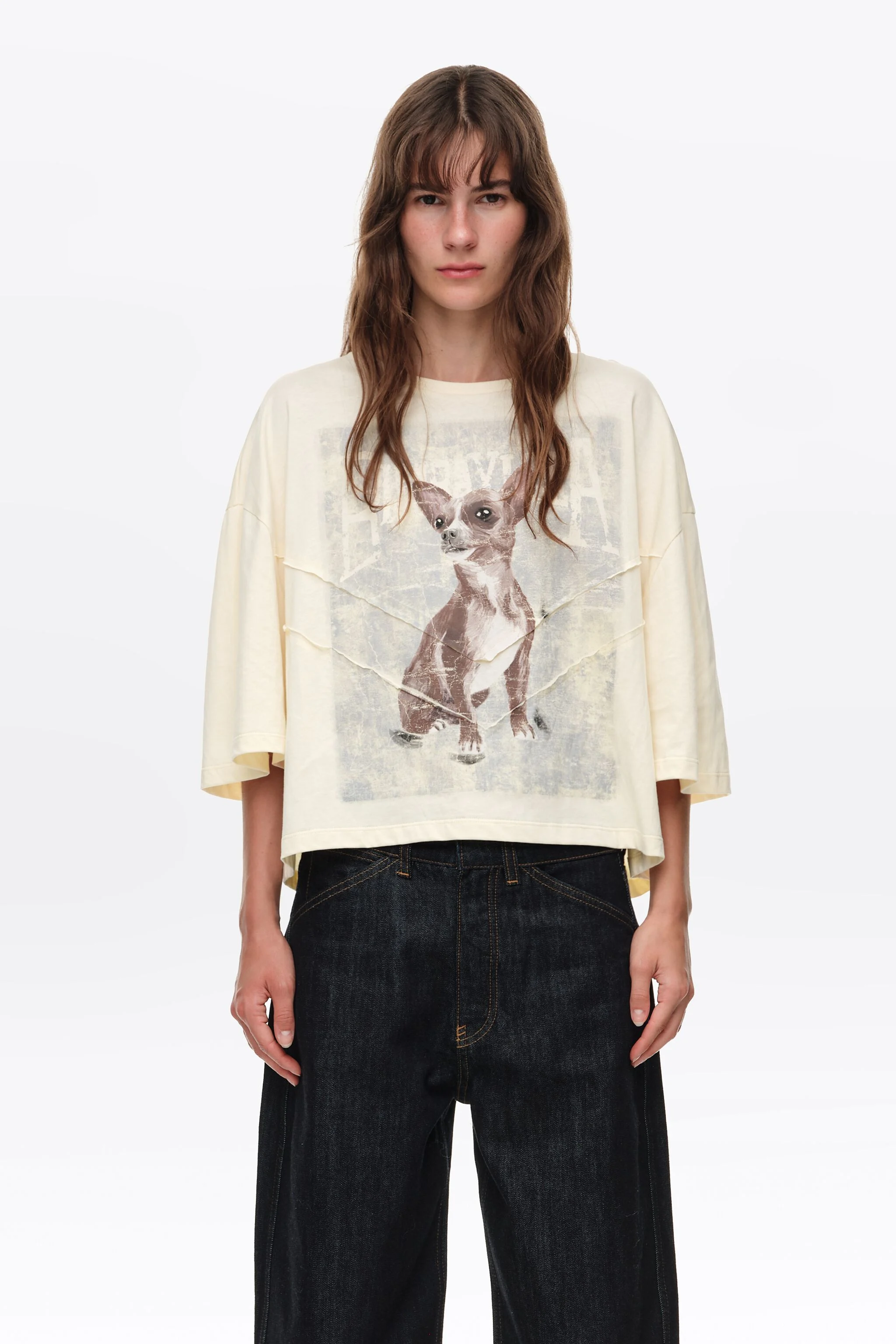 Camiseta boxy com estampa de camelo e chihuahua