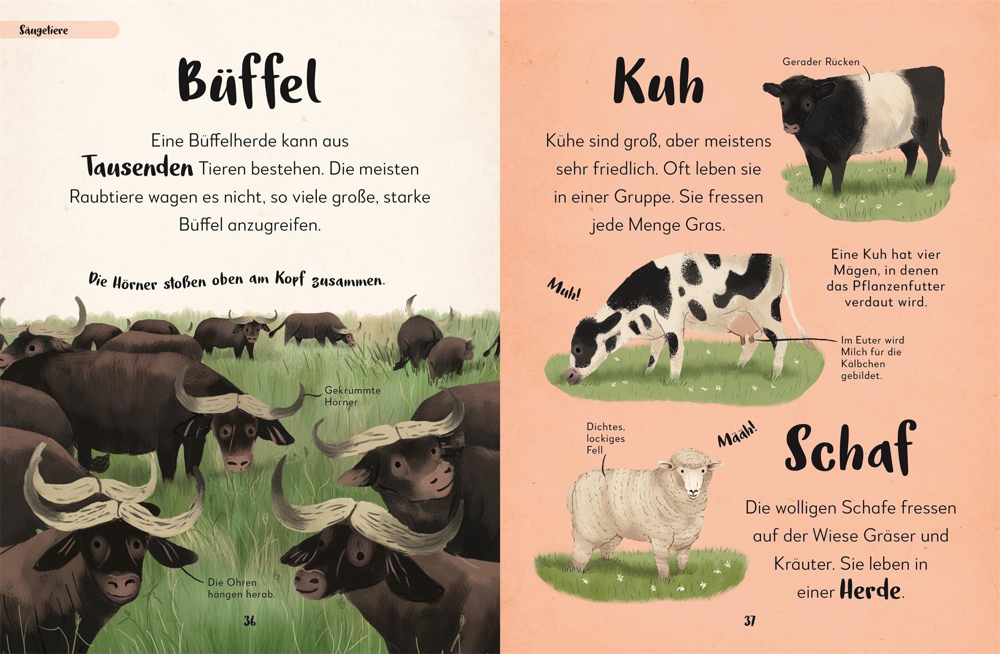 Mein liebstes Buch der Tiere