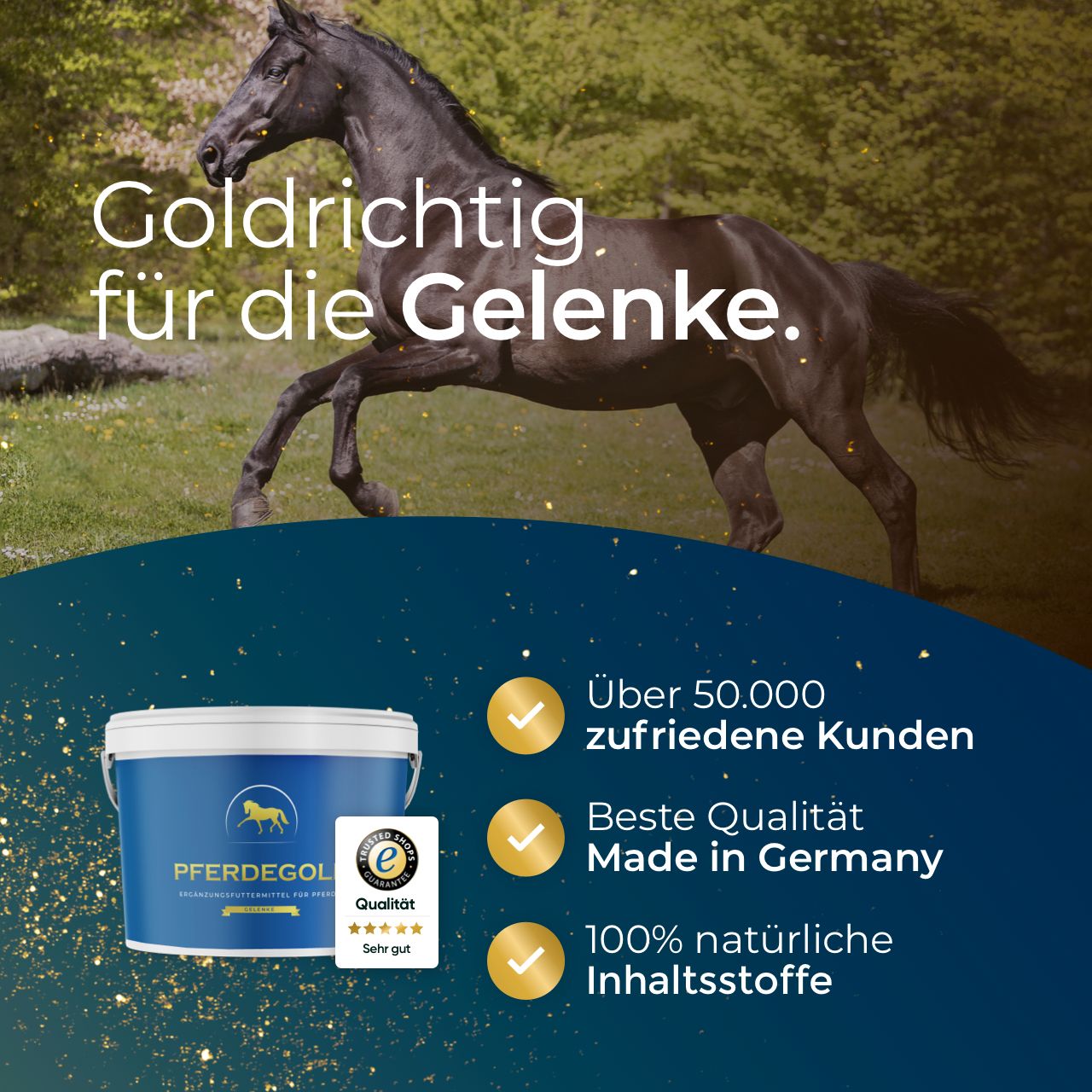 Pferdegold® Gelenke