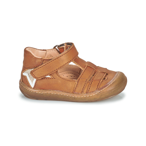 GBB - LIROY FLEX - Marron