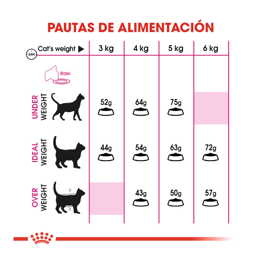 Ração para gatos Royal Canin Regular Fit 32