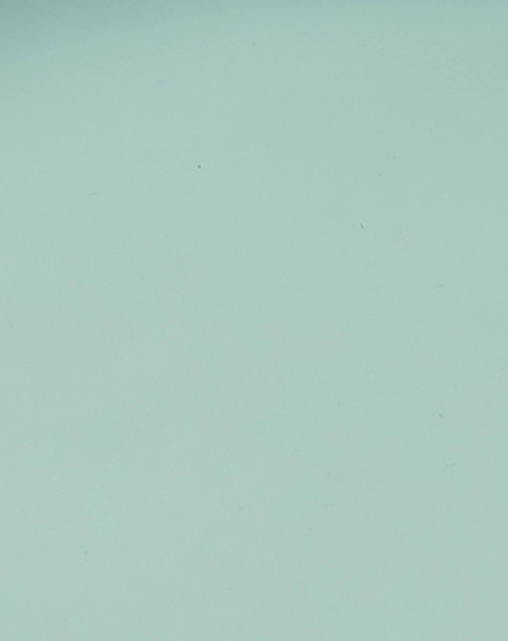 Silikon-Teller PEEKABOO - ELPHEE in blau