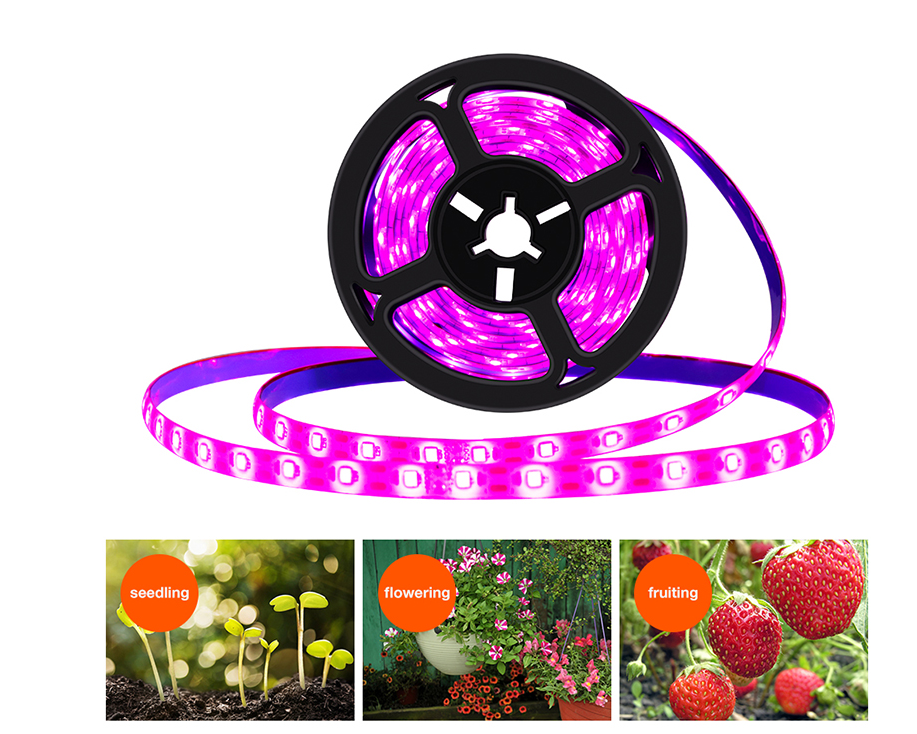 (3m) 180-LED's USB Leuchtstreifen Pflanzen Licht Full Spectrum Grow Light Wachstumslicht für Zimmerpflanzen Gewächshaus (IP65)