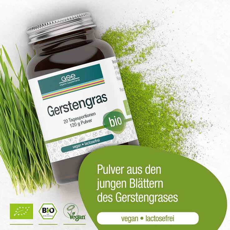 Gerstengras Bio Pulver, 120 g