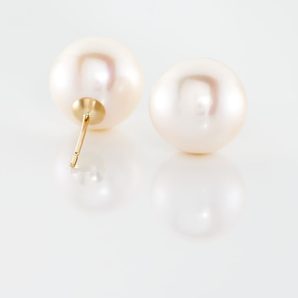 Boucles D'oreilles Puces Suki Or Jaune Perle De Culture