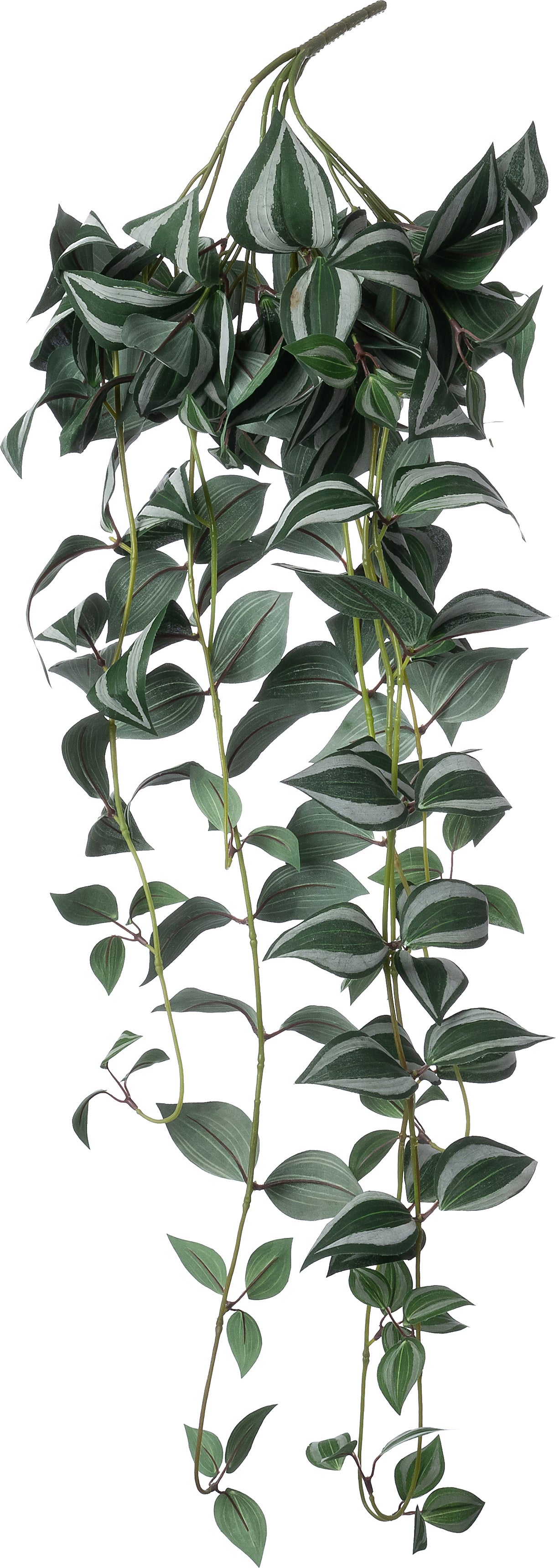 Intratuin kunsthangplant Vaderplant donkergroen 25 x 10 x 100 cm