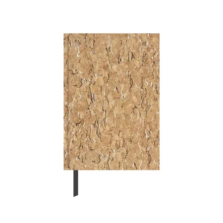 Idena Agenda A6 2024 Kork FSC-Mix
