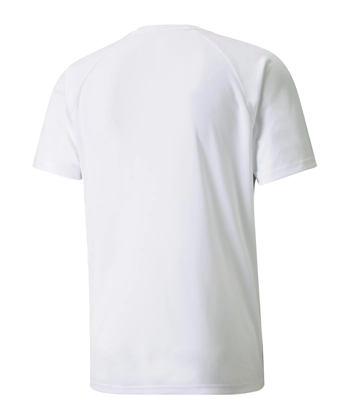 PUMA teamLIGA Striped Trikot Weiss Schwarz F04
