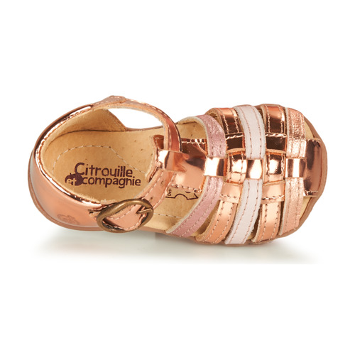 Citrouille et Compagnie - RINE - Rose métallisé