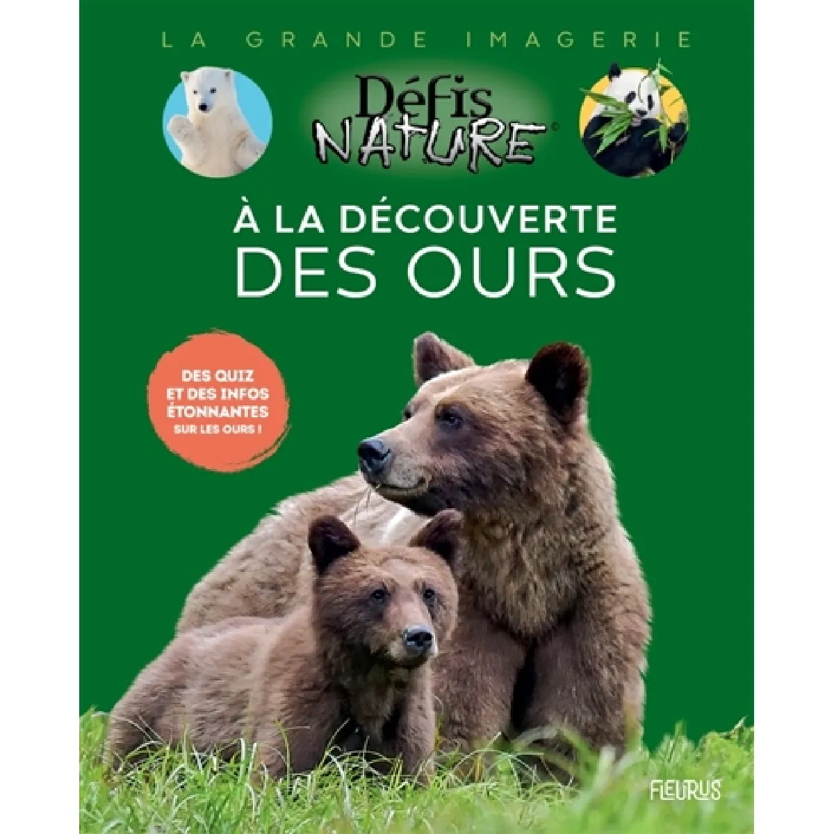 A la découverte des ours : des quiz et des info étonnantes sur les ours !