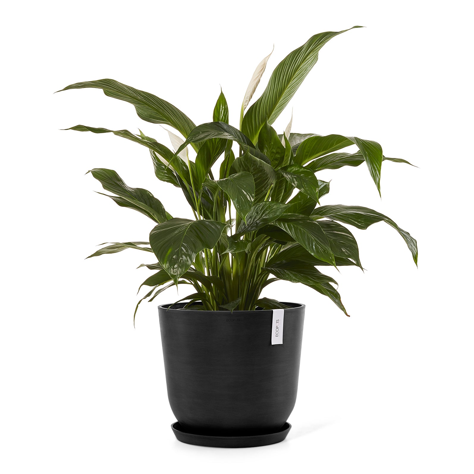 Ecopots Oslo Bloempot Ã 45 cm - Donkergrijs