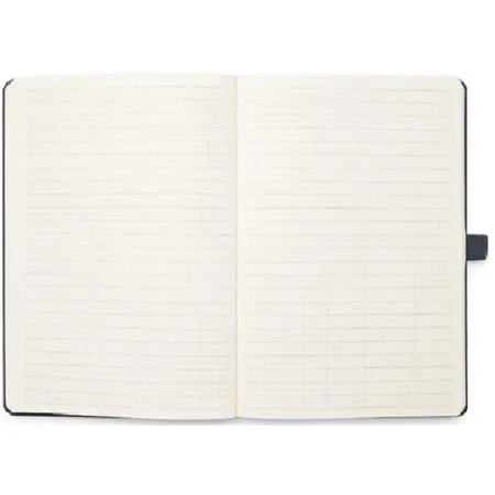 LAMY Notizbuch DIN A5 Lamy-Lineatur turmali/silbe