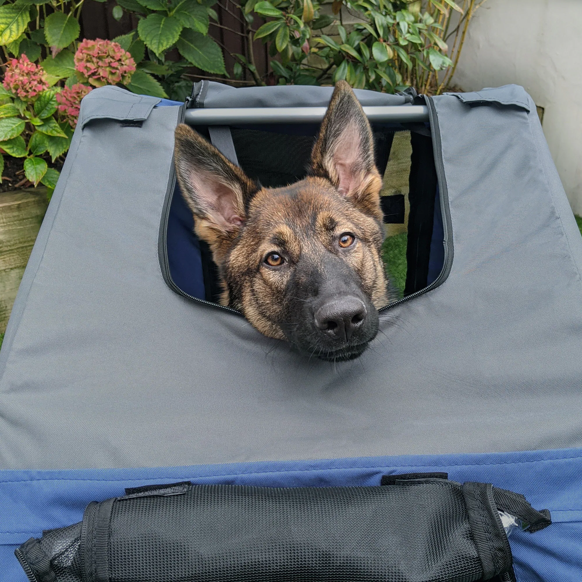 PawHut Fahrradanhänger für Hunde 130 x 73 x 90 cm (LxBxH)