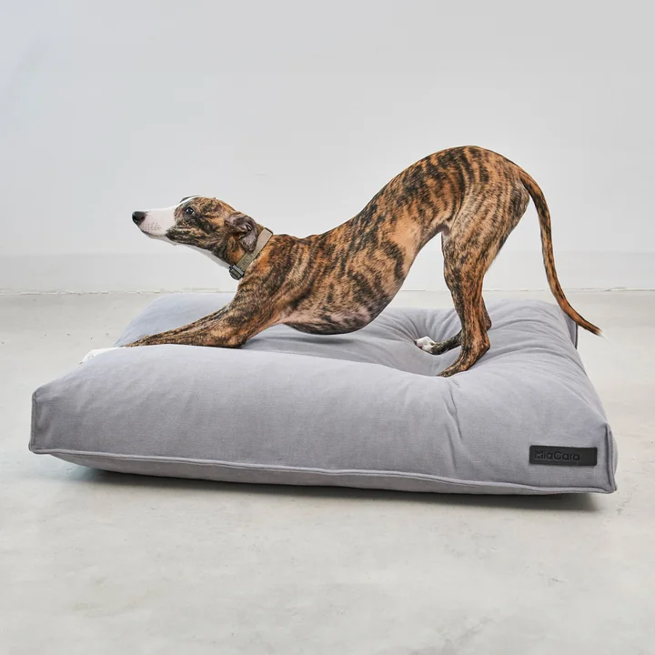 MiaCara - Comodo Hundekissen, M, schiefer