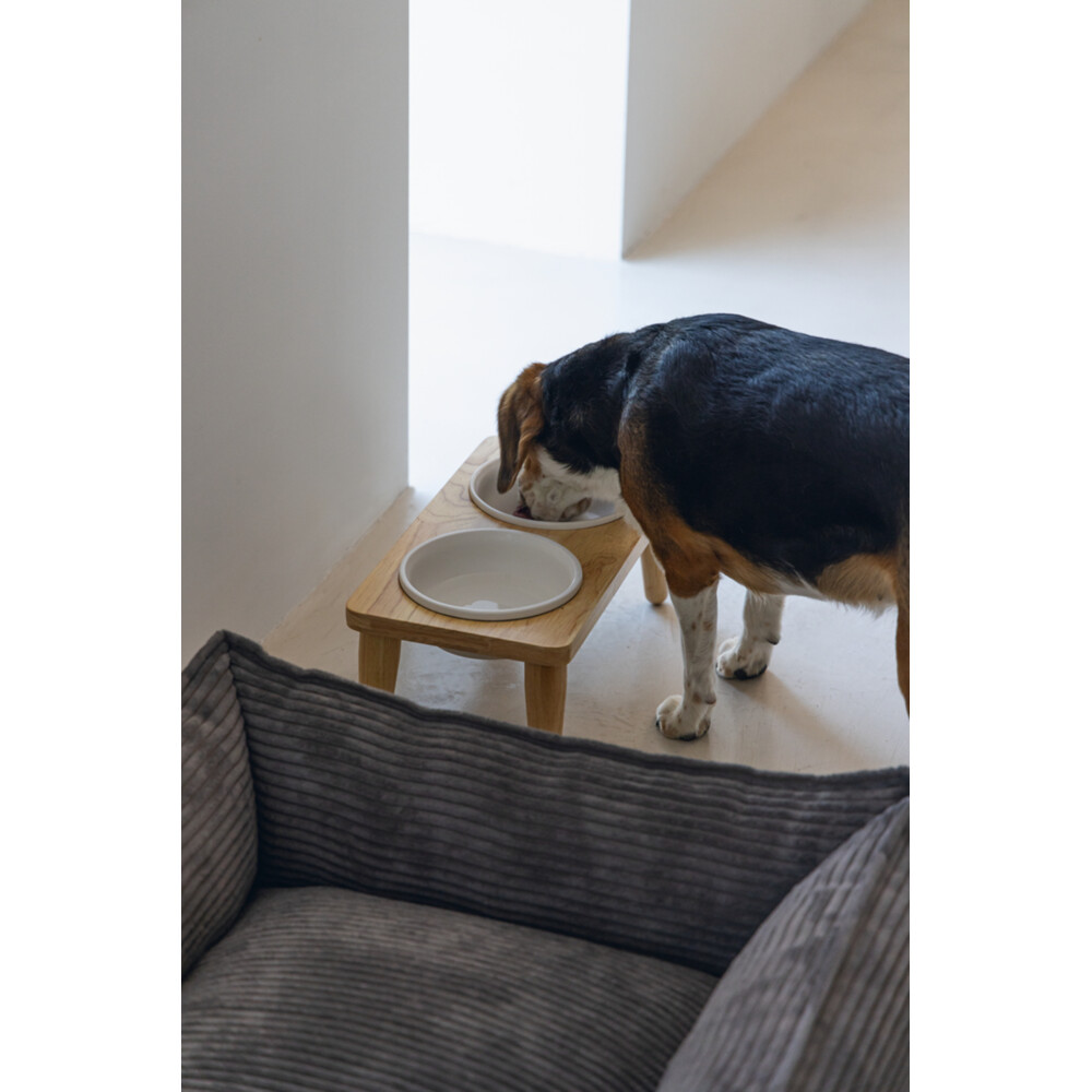 Designed by Lotte Dinerset Hond Hout Djeha 40 x 21 x 15 cm