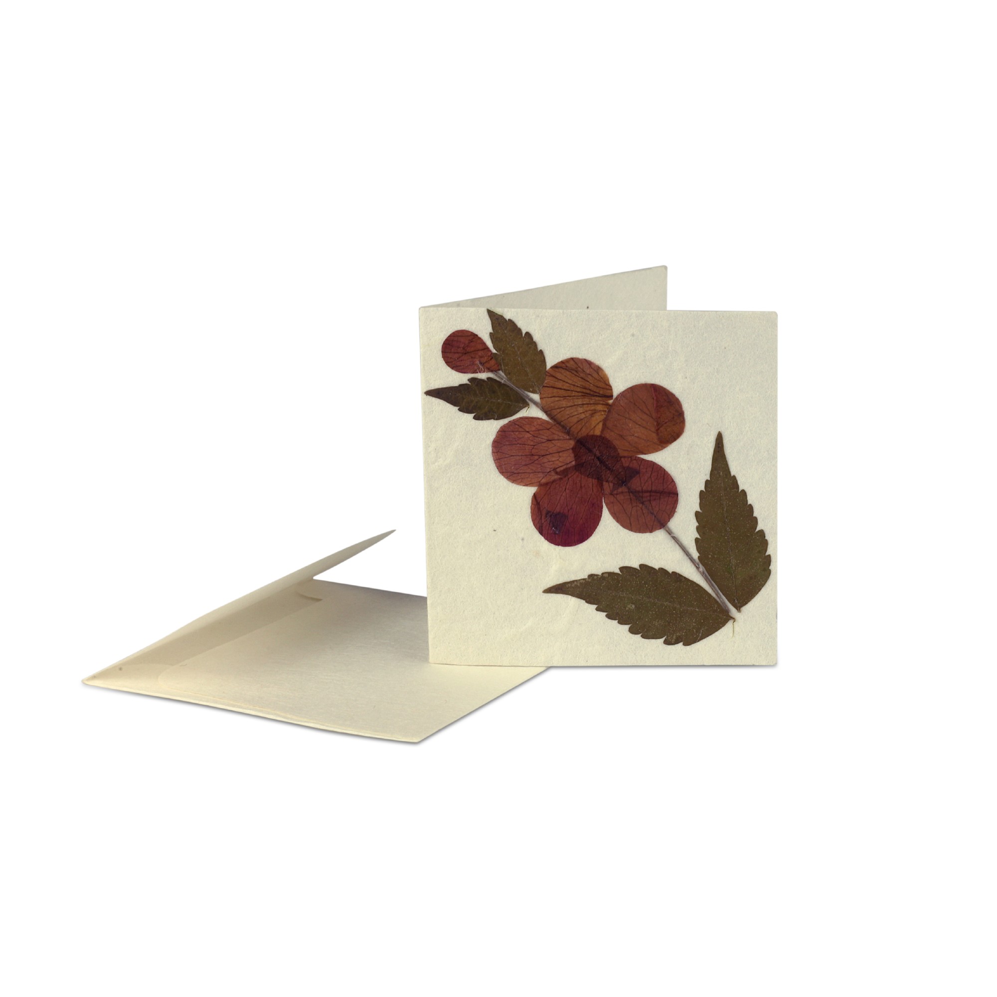 Grußkarte 'Blume' klein, H 6,5 cm, B 6,5 cm günstig bestellen