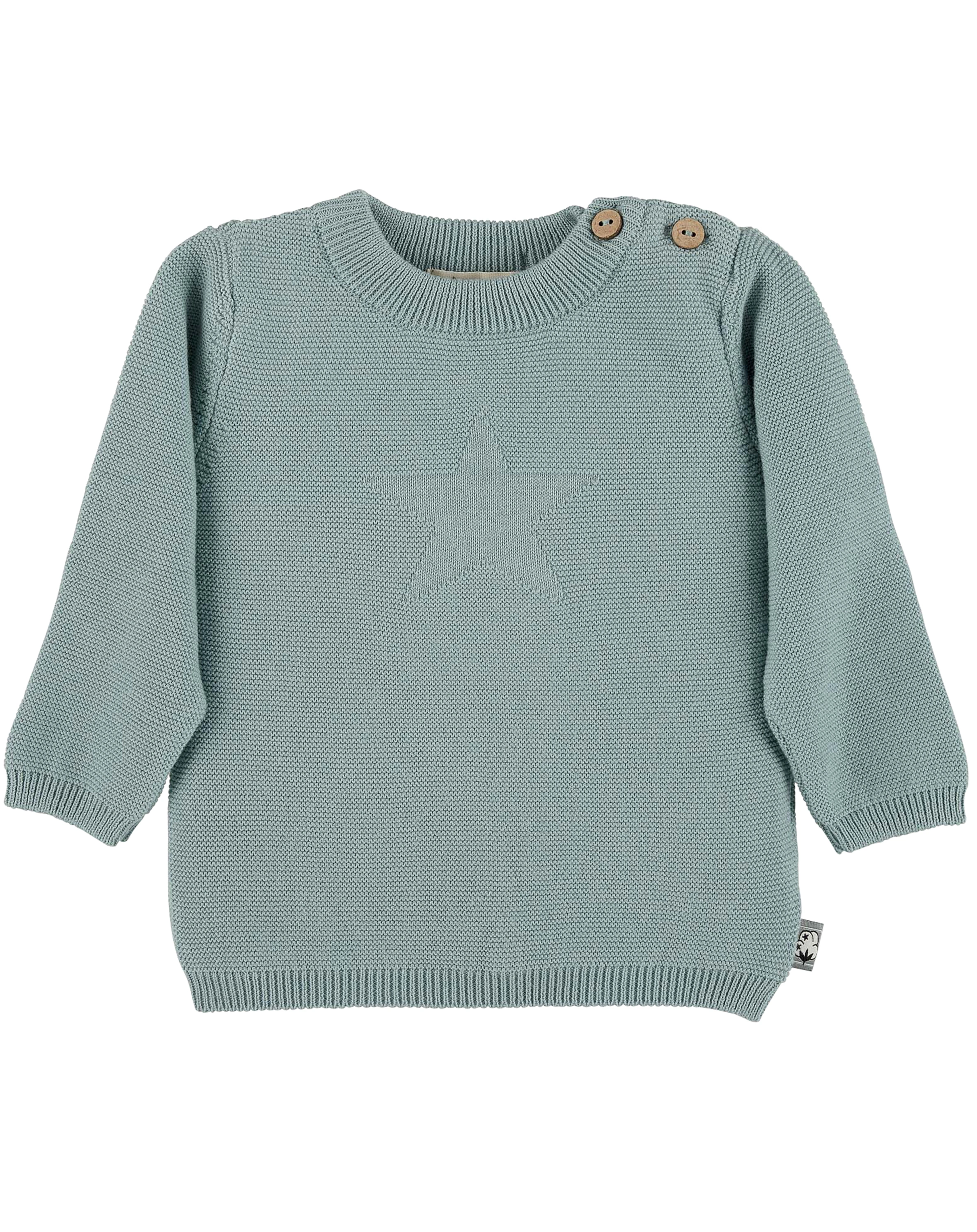 Strick-Pullover STERN in grün
