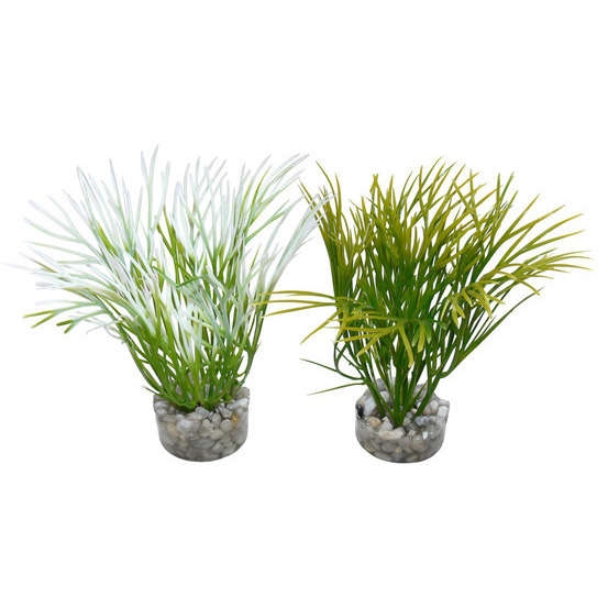 Décoration d'aquarium : Nano Green Plant