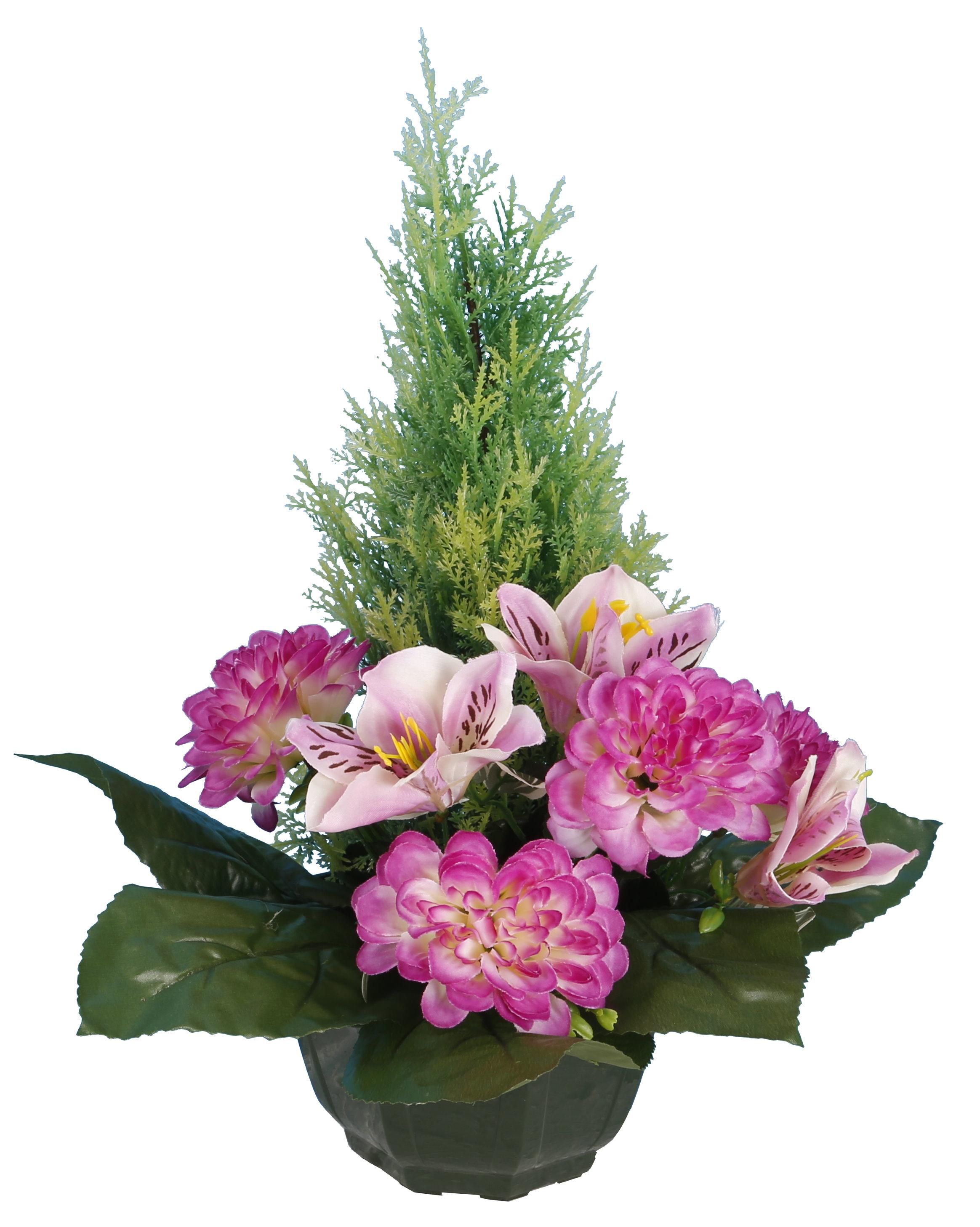 COUPE ZINNIAS ORCHIDEES TUYAS