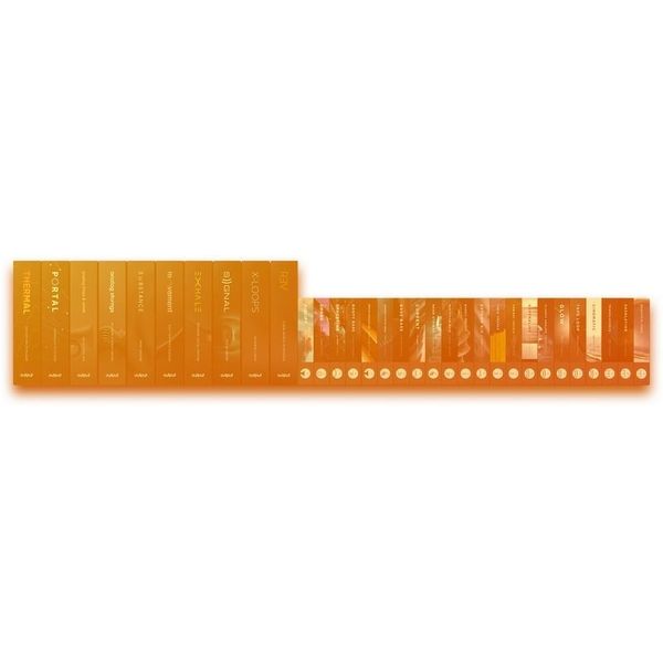 Output Output Bundle