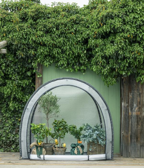 Dehner Winterschutzzelt Midgard, transparent,
