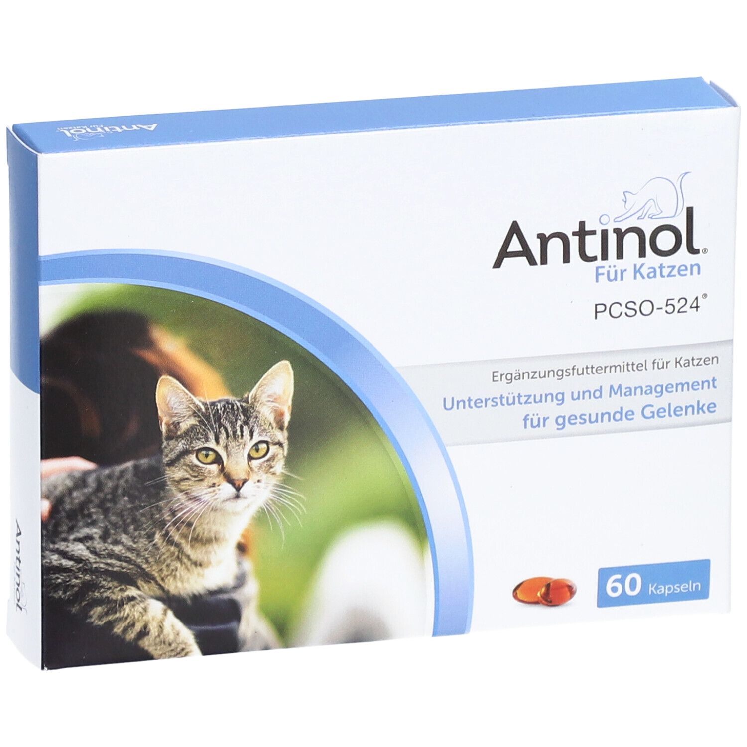 Antinol® Für Katzen