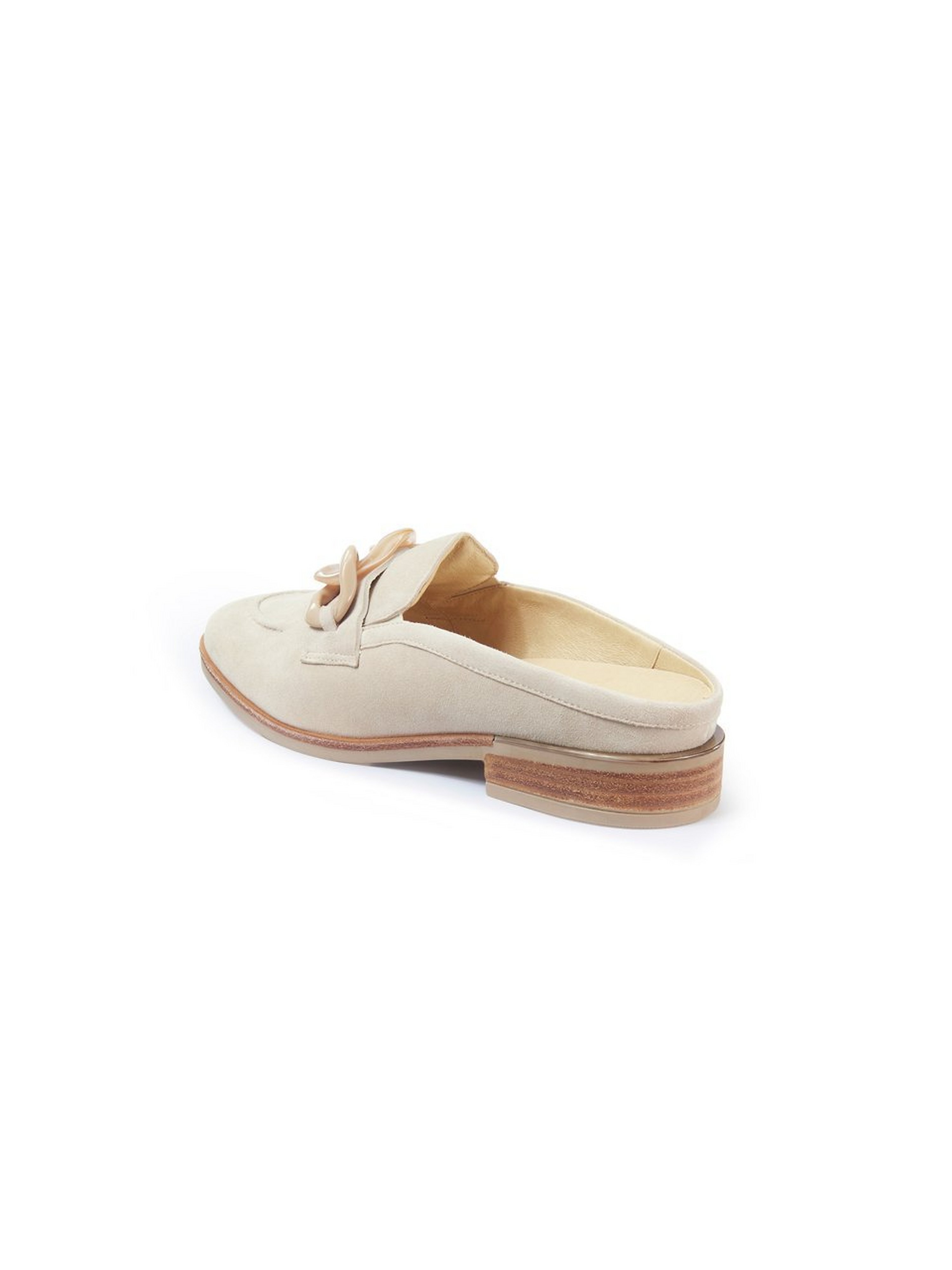 Sabot
