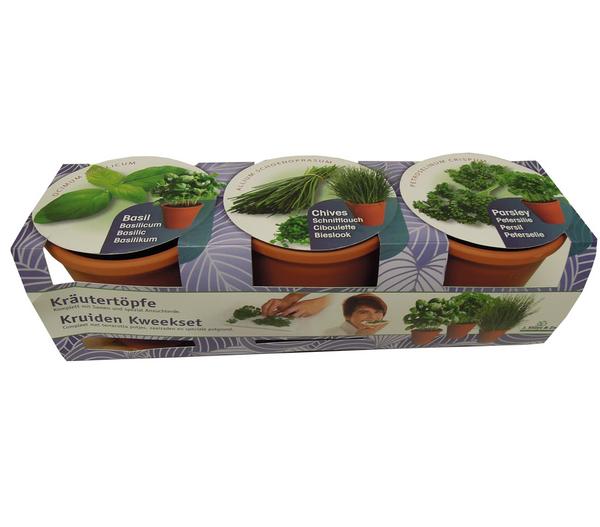 Florex Kräutertopf, 3 Stück