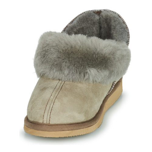 Shepherd - KARIN - Gris
