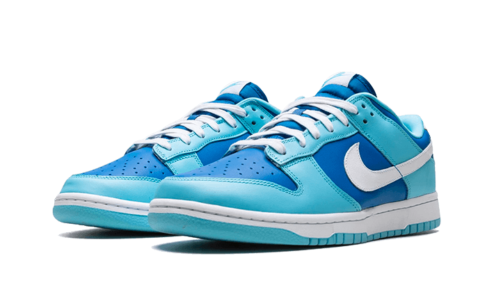 Nike Dunk Low Argon - 48h Delivery