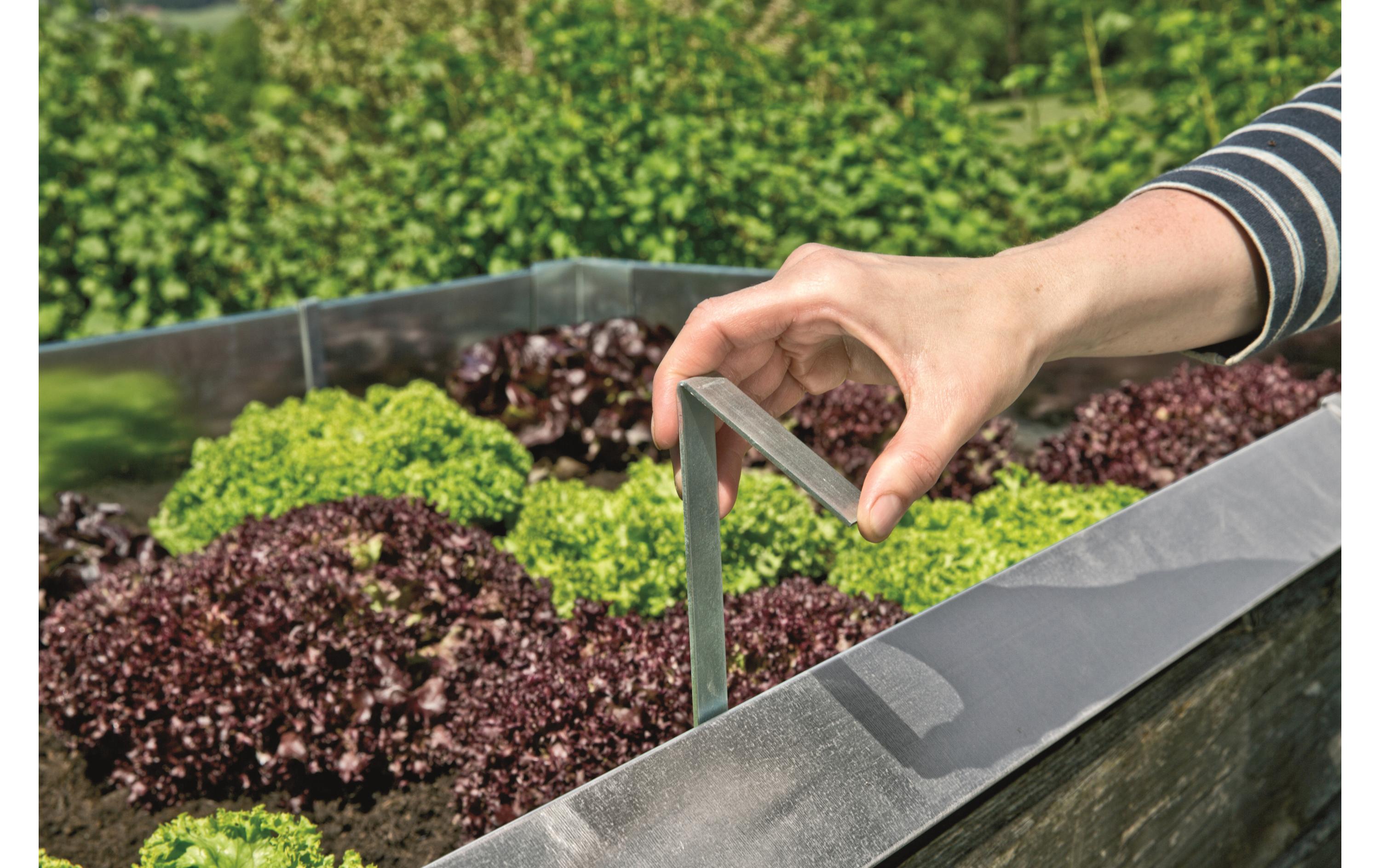 Schneckenzaun BefestigungsklammerGarten-Zubehör: Schneckenzaun
