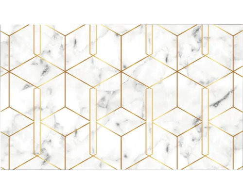 Keukenachterwand mySpotti Profix Nicole 100 x 60 cm PX-10060-1551-HB