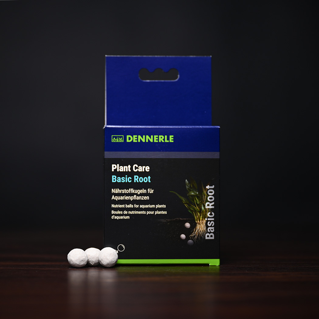 Dennerle Plant Care Basic Root 10st | Plantenvoeding