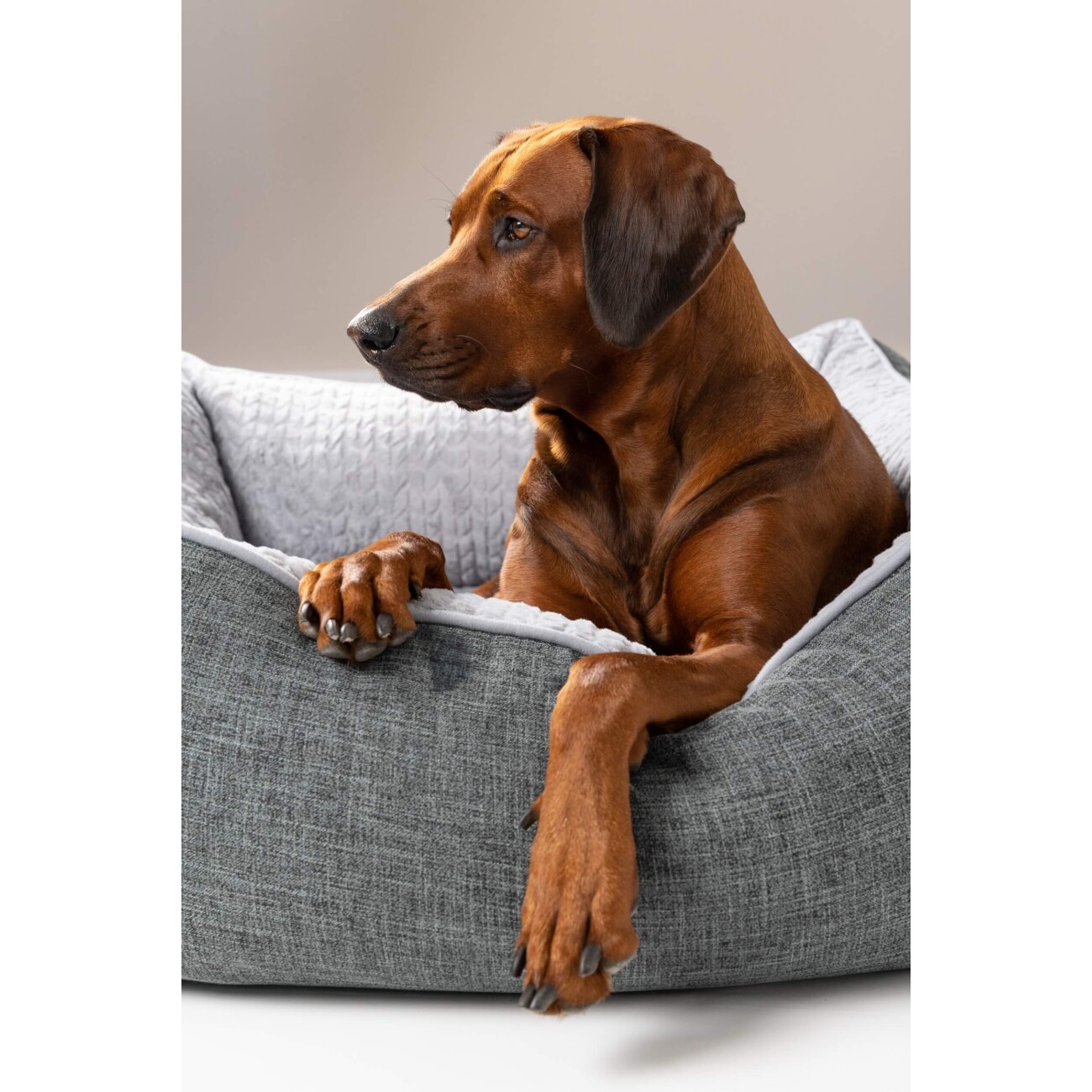 TrendPet VitaBed Classic orthopädisches Hundebett grau S