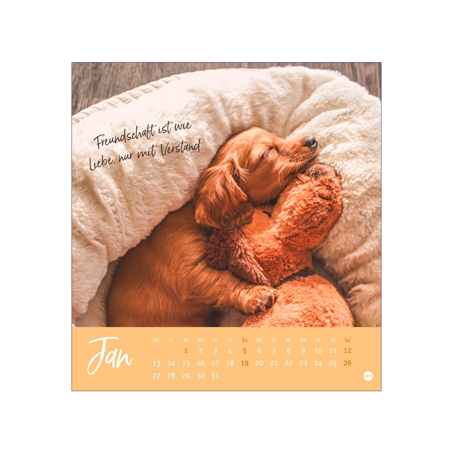 Postkartenkalender 2025 - Für immer dein!  - 2025