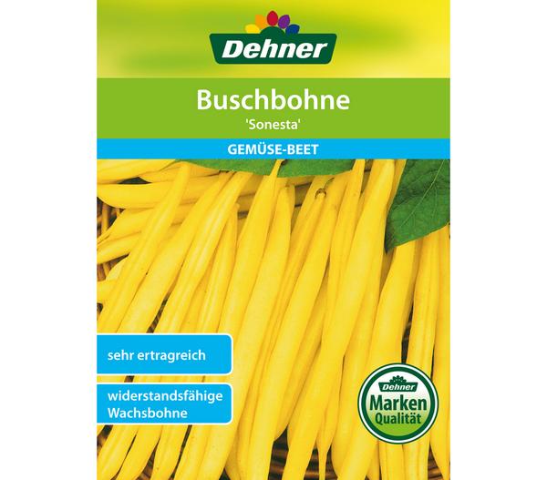 Dehner Samen Buschbohne 'Sonesta'