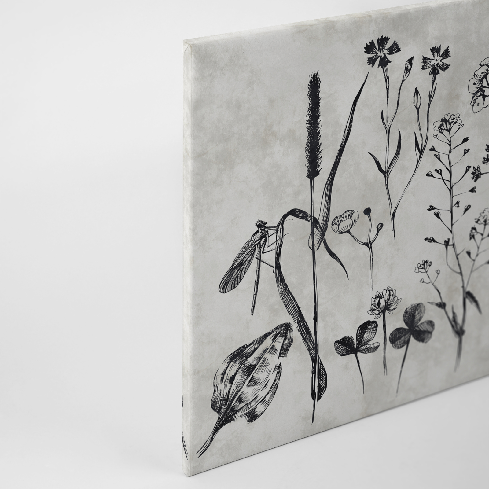 Leinwandbild WILDBLUMENWIESE - grau-schwarz - 90x60 cm