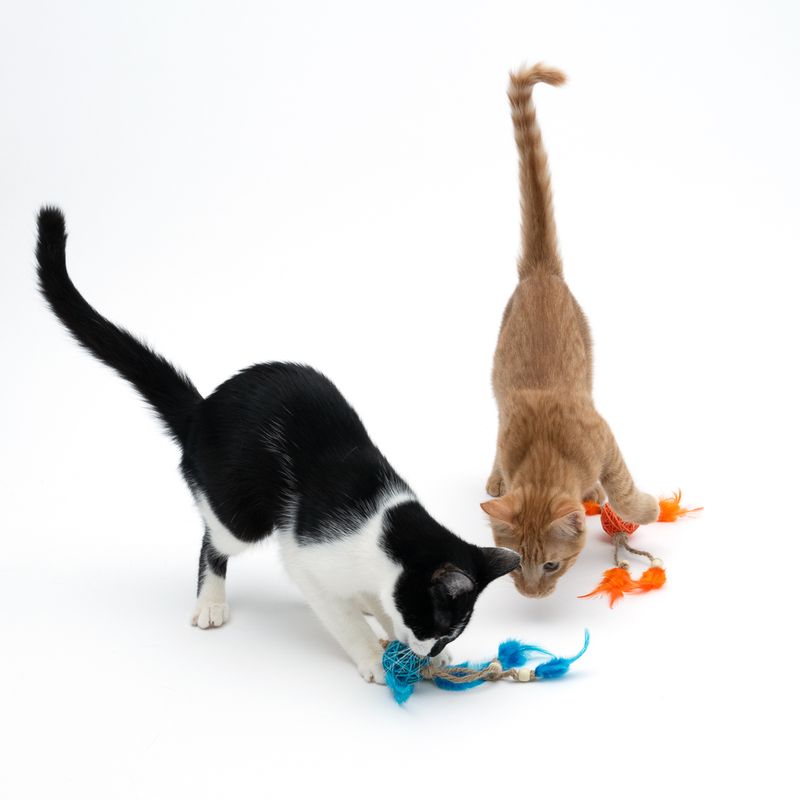 Lot de jouets TIAKI Petites balles en osier avec plumes