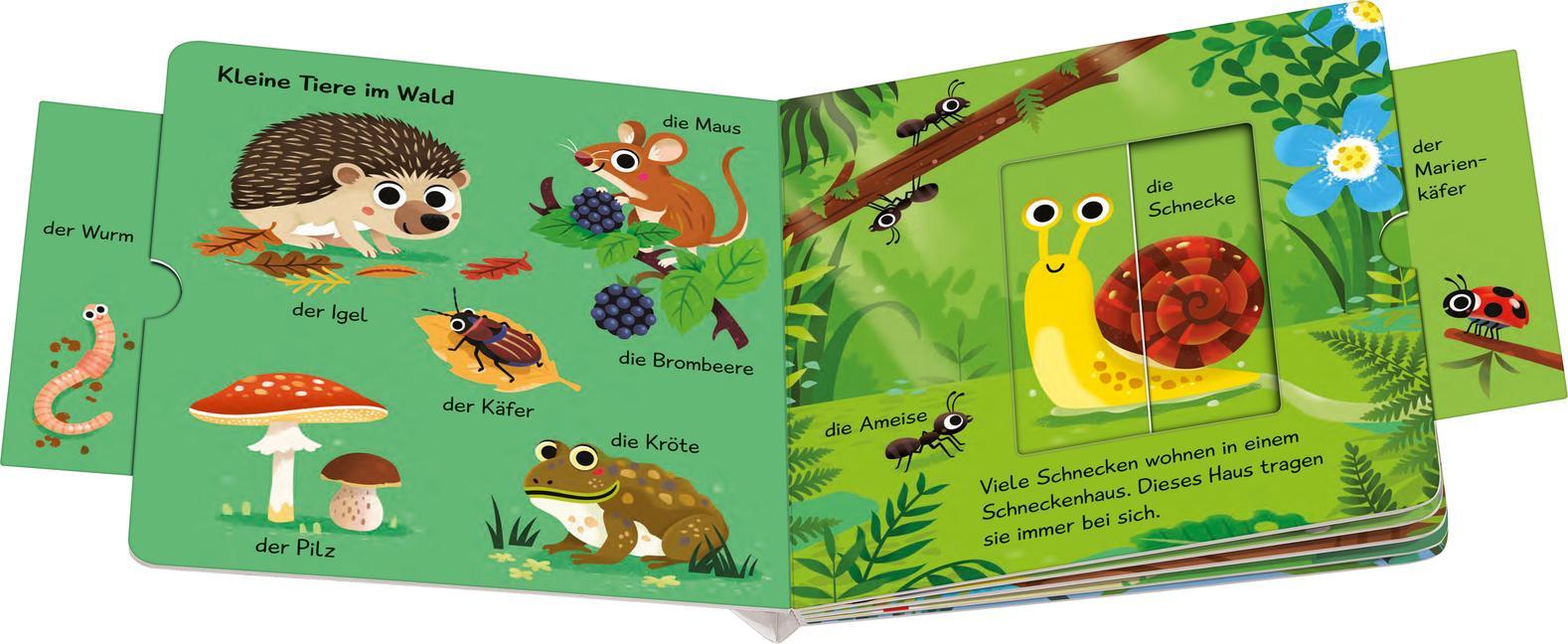 Meine ersten Wörter / Meine ersten Wörter vom Wald - Sprechen lernen mit großen Schiebern und Sachwissen für Kinder ab 12 Monaten