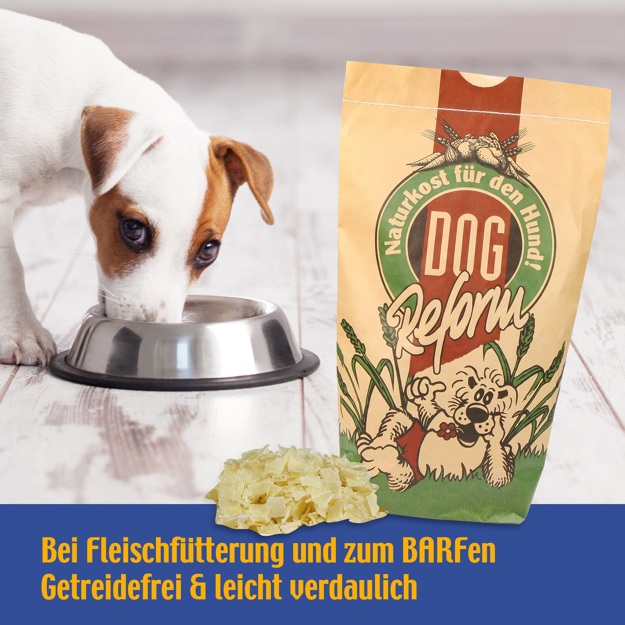 Schecker DOGREFORM Kartoffel Flocken nur 0,7% Fett - ideal zum Mixen und Barfen