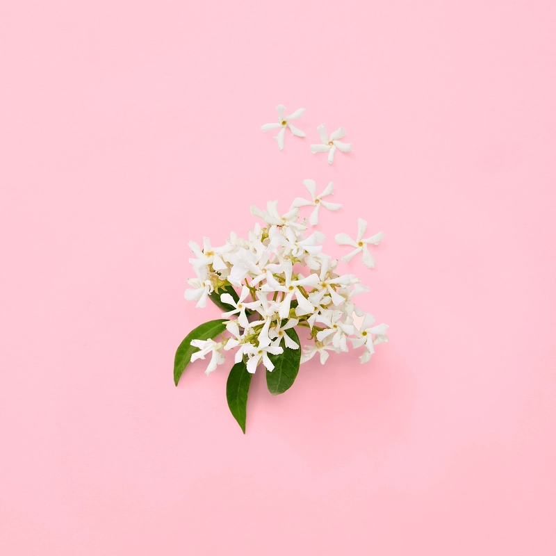 Gucci Flora Gorgeous Jasmine EDP 30 ml