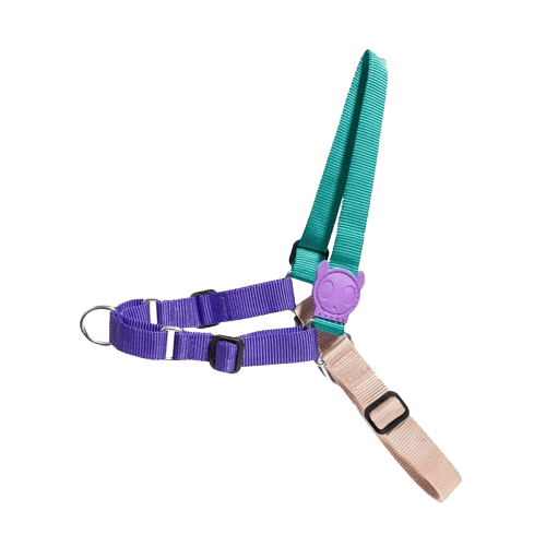 Coleira Zee.dog SOFT-WALK BOOGIE tamanho G