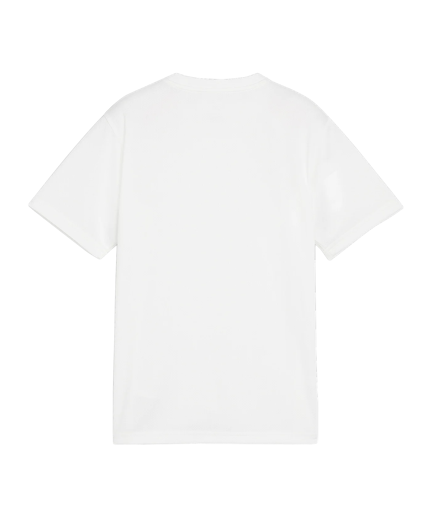 PUMA teamGOAL Trikot Kids Weiss F04