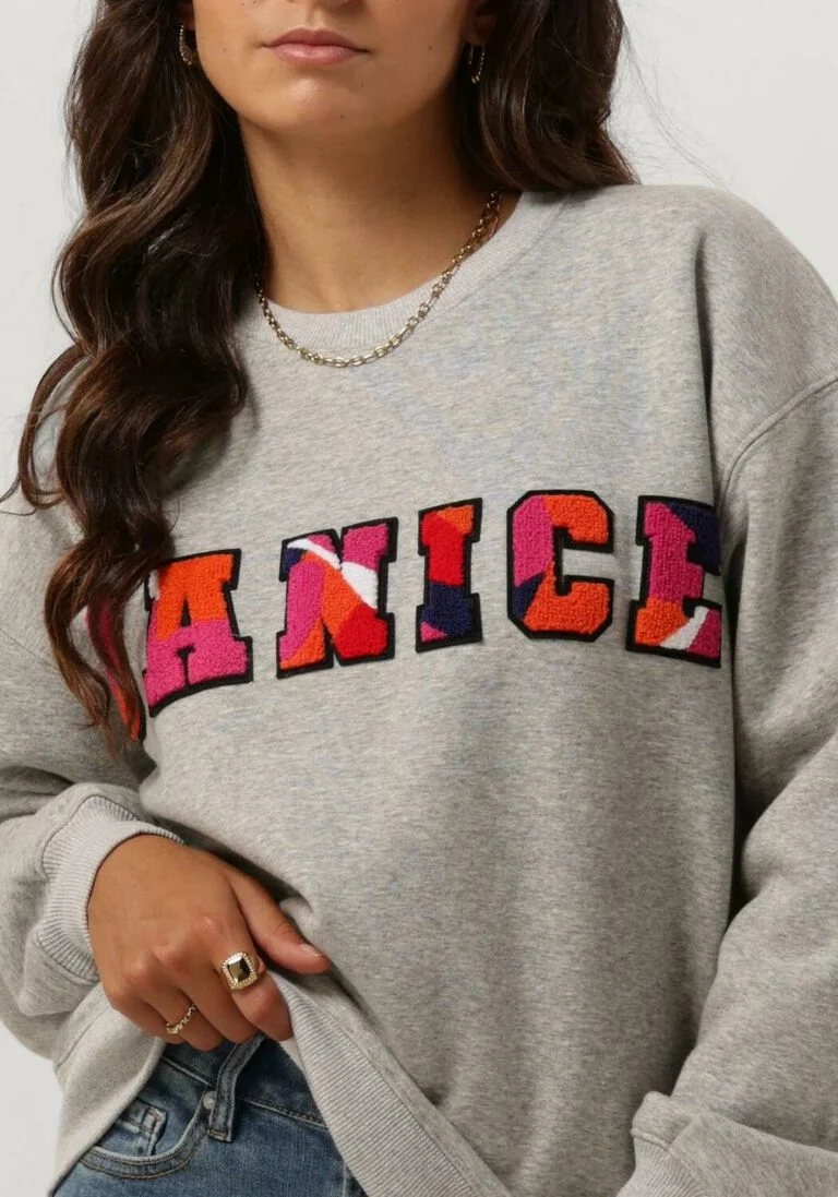 JANICE grijze janice trui sweater dames andy logo