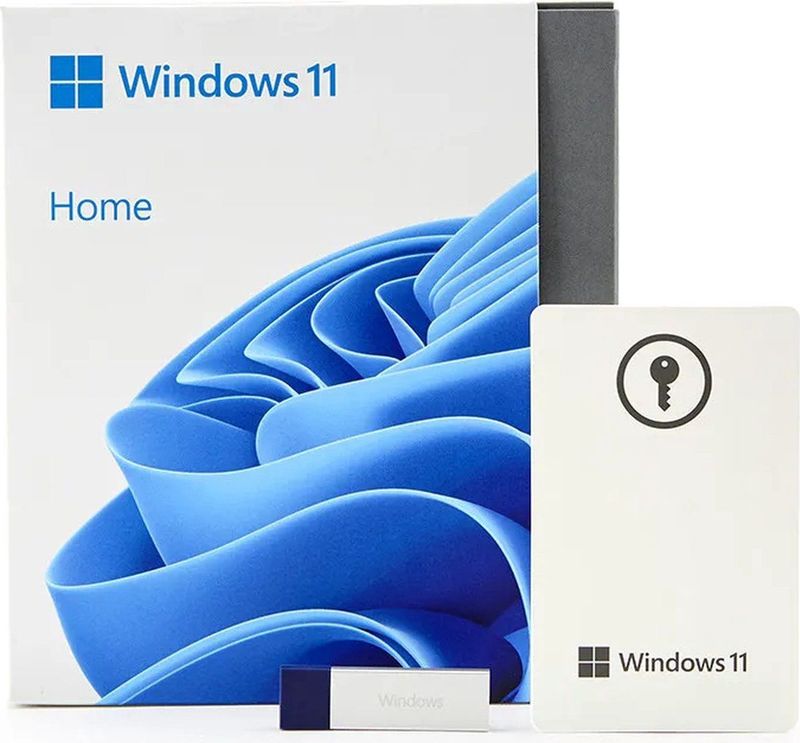 Microsoft Windows 11 Home - 1 Licentie - FPP